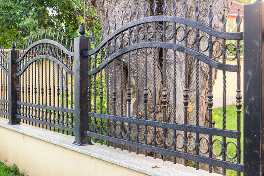 Wrought Iron Fence. Metal fence
