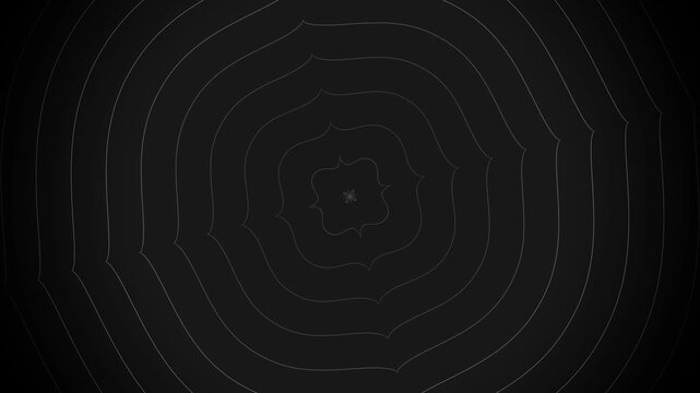 Abstract loop animation featuring geometric rings radiating outward from a central floral motif.