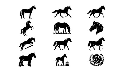 Fototapeta premium Premium Horse Silhouette Bundle Black White Vector Illustration