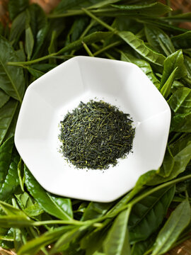 茶葉