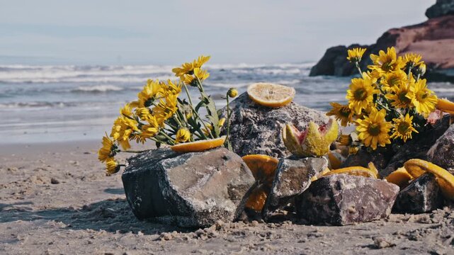A sacred offering of yellow flowers and citrus fruits sits on beach rocks. The ocean waves crash in the background of this spiritual ritual.