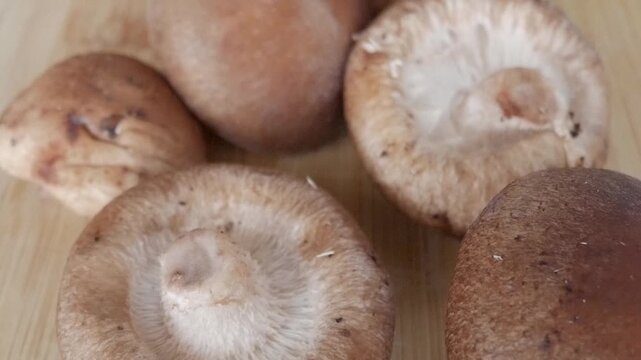 Assorted fresh mushrooms in wooden boxes displayed in sunlight on a white surface