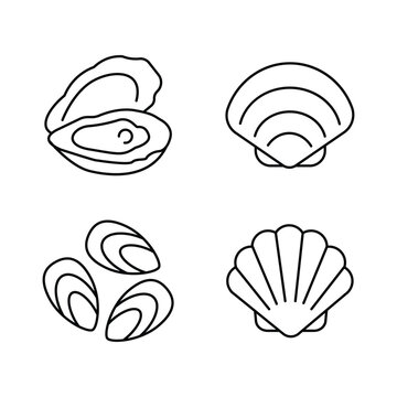 A clean line-art vector icon set featuring four distinct types of seashells, including an open oyster with a pearl and a closed scallop shell