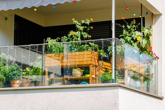Balcony garden filled with plants and flowers during daylight hours in an urban setting