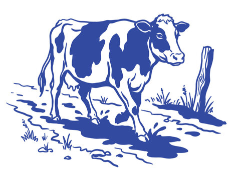 Vintage blue hand drawn cow illustration standing on a muddy farm path near a wooden fence