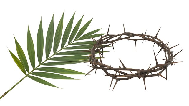 Crown of thorns rests beside a green palm leaf on white surface.
