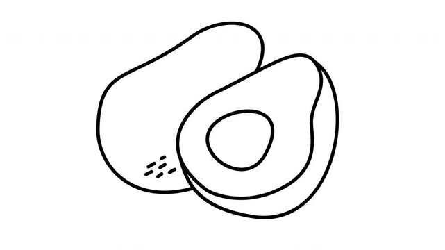 avocado outline fruit illustration
