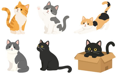 Fototapeta premium Cats