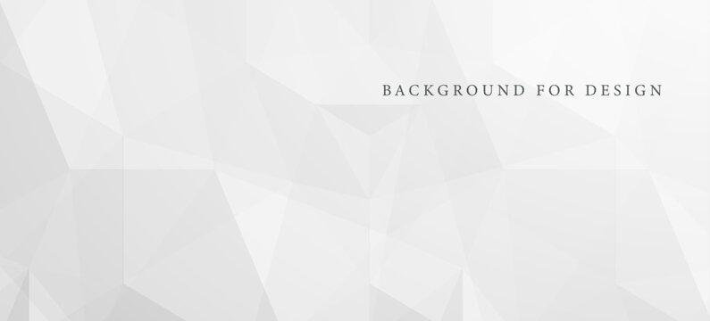 Abstract light gray polygonal background with geometric low poly shapes. Minimalist white triangle mosaic design and futuristic corporate vector texture for business presentation, banner, template