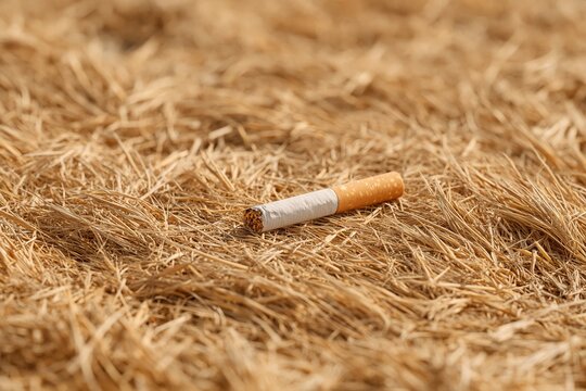 fire hazard due to careless behavior concept. Cigarette butt discarded on dry grass in a natural outdoor setting, highlighting environmental impact and littering