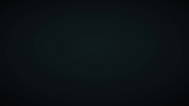 Personal data record anonymised field by field with black bars