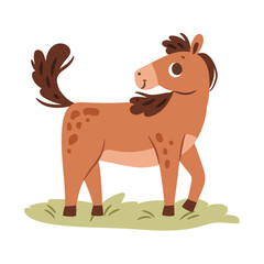 Obraz premium Mane or stallion walking on meadow, isolated cute horse with spots. Vector equine animal with furry coat for race or competition. Cartoon mammal on field, strong creature with muscles