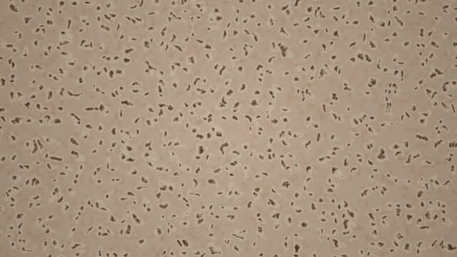 Brown and beige background material featuring small dark speckles that create a seamless repeating pattern.
