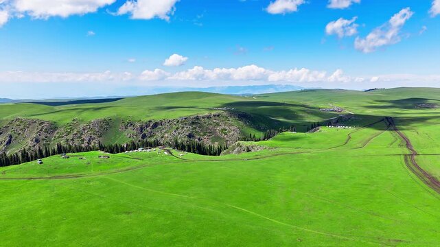 Aerial view of vast green meadows with rolling hills and a deep ravine under a clear blue sky in Kalajun Grassland, Xinjiang, China.