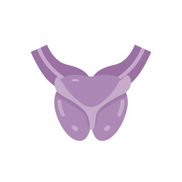 Human endocrine gland illustration, thyroid and parathyroid glands vector icon