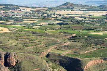 Obraz premium Patchwork Vineyards and Farmland Near Islallana