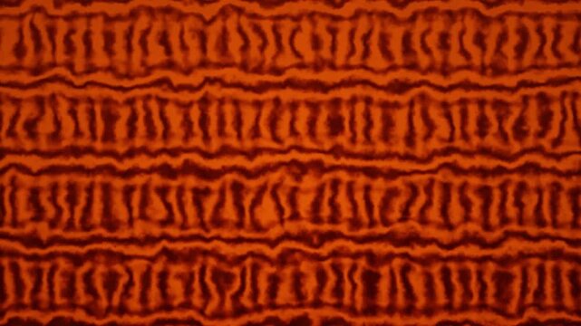 A seamless loop of wavy tiger stripes creates an endless textured background.