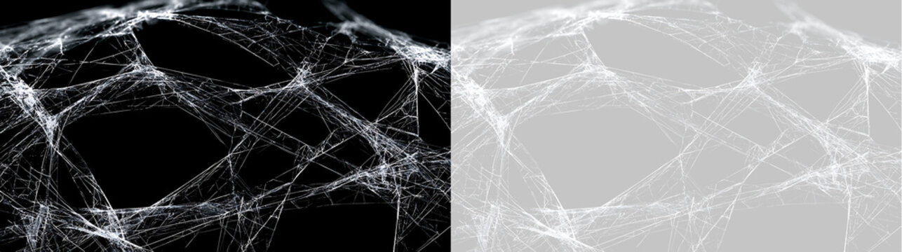 Dense white cobweb texture on black and transparent background. Curved spider web overlay element for Halloween design
