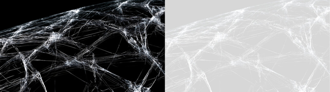 Realistic white cobweb texture on black and transparent grid background. Curved spider web isolated overlay for Halloween design