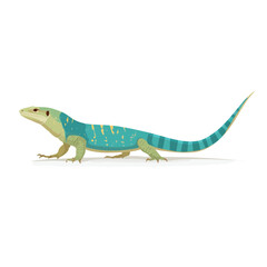 Fototapeta premium Vibrant Lizard Animal Vector Icon Isolated