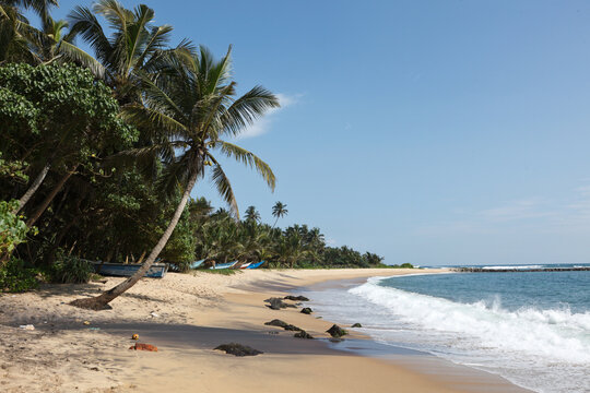 Scene featuring tropical paradise idyllic beach. Sri Lanka, with coast