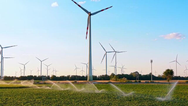 Tall wind turbine rising above sprinkler irrigated field. A cell tower and lone tree stand near the base while dozens of turbines fill the hazy horizon.