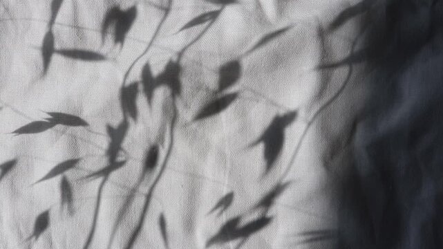 Soft moving shadow of oat panicles dancing across wrinkled white linen fabric. Minimalist botanical background ideal for natural, organic, textile and lifestyle concepts.