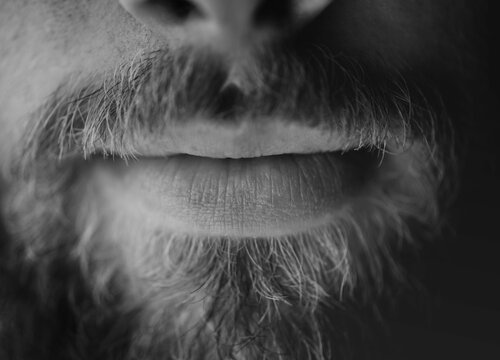 Man, beard and lips closeup with a face in monochrome for creativity and art with facial hair. Black and white, serious male person and moustache with mouth and creative with grooming and treatment