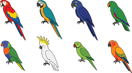 Tropical Parrot Vector Icon Set Featuring Various Exotic Bird Species Including Macaw Cockatoo Lorikeet and Parakeet for Nature and Wildlife Designs © Ismail