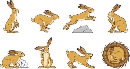 Cute Hare Vector Illustration Set Featuring Wild Rabbits in Dynamic Poses with Elements Like Rocks, Bushes, and a Twig Nest for Nature Designs