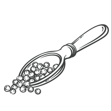 Pepper grinder in hand drawn black outline with a tall mill body and turning knob. Menu, packaging and stamp design feature this pepper grinder, vector illustration.