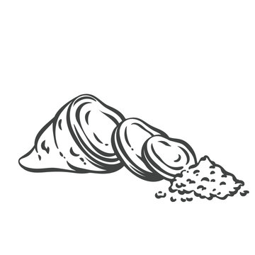 Turmeric root in hand drawn black outline with sliced rhizome and ground spice. Menu, packaging and stamp design feature turmeric root, vector illustration.