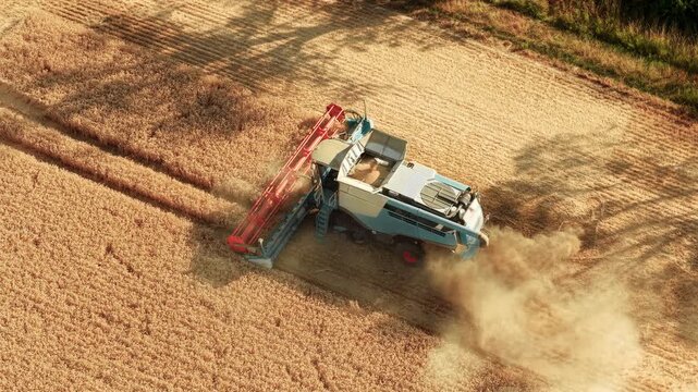 Farmer harvesting ripe barley with combine harvester across large cereal field. Grain filling hopper while straw spreading behind working machine. Modern agriculture farm equipment and rural food