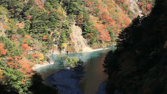寸又峡の夢の吊橋