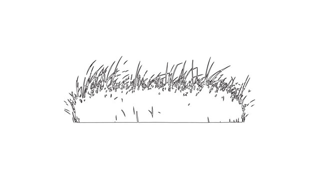 Black silhouettes & Strock of grass