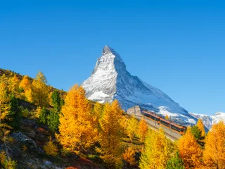 Passenger train on a railway in Zermatt, Switzerland. Autumn nature in the Alps. Train passes through autumn forest with Matterhorn peak in background. © biletskiyevgeniy