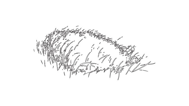 Black silhouettes & Strock of grass