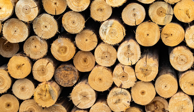round stack of wood logs background for decoration
