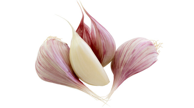 Four peeled garlic cloves with purple skin, isolated on transparent background