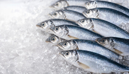 Obraz premium Several fresh silver fish arranged on crushed ice, displayed for sale with visible scales and eyes. Cold textured background provides copy space for text or labels.