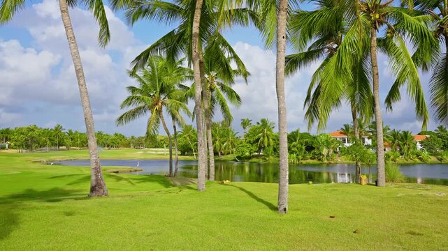 Landscape view of a golf course in the Dominican Republic. Palm trees and a green lawn create a peaceful outdoor sports atmosphere. Landscape of a beautiful golf course with a pond or lake.
