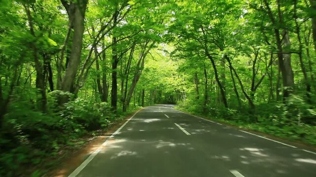 走行中の車内から見た新緑の十和田湖畔の測道
