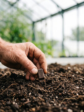 Farmer Hand Placing Soil Sensor Probe into Greenhouse Soil