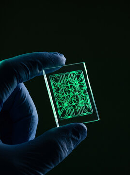 Hand in Blue Glove Holding Glowing Green Bioengineered Microfluidic Chip