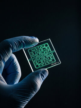 Gloved Hand Holding Synthetic Microfluidic Biochip with Glowing Green Circuitry