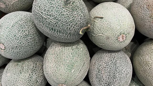 Fresh organic cantaloupes displayed at the market. a pile of orange-fleshed melons.