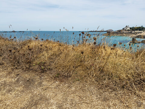 Pointe de la Varde &agrave; Saint-Malo - S&eacute;cheresse