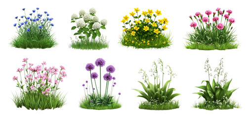 Fototapeta premium PNG Colorful assorted garden flowers isolated, transparent background