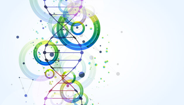 Abstract colorful DNA helix with digital plexus network and overlapping circles. Vector illustration
