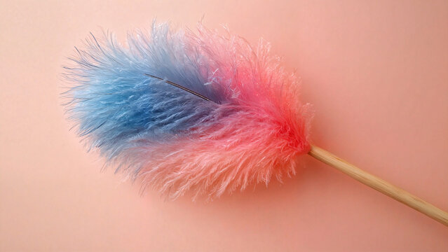 feather duster, cleaning product advertising, e-commerce listings, household product catalogs, housekeeping services, retail advertising, home organization editorials